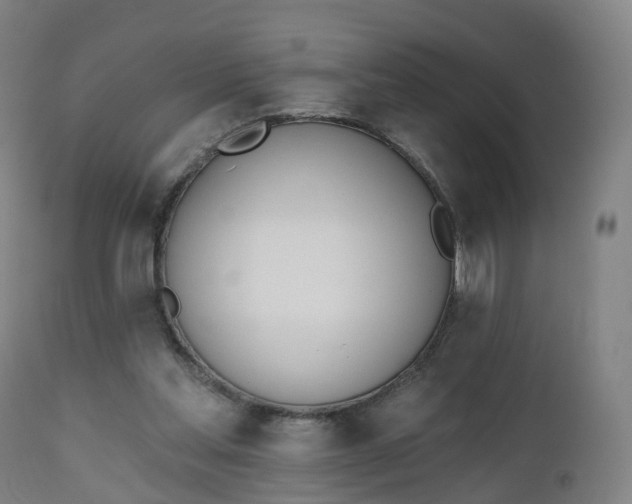 X0000112500205200908241357