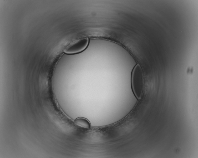 X0000112500207200908241357