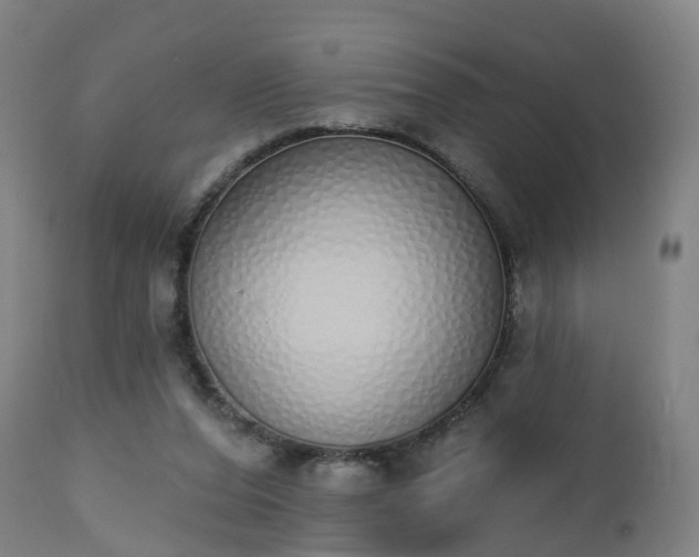 X0000112500208200908241357