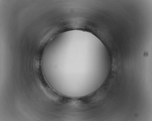 X0000112500210200908241357