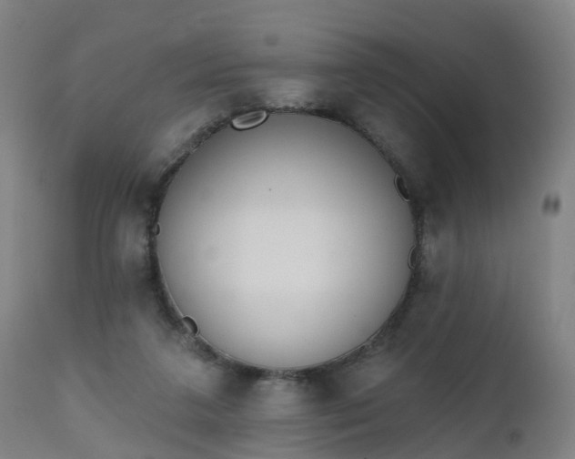 X0000112500211200908241357