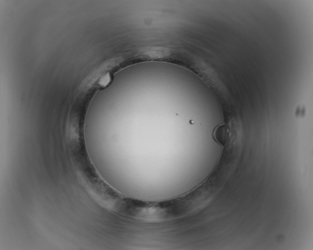 X0000112500212200908241357