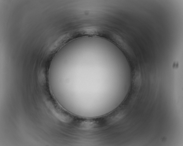 X0000112500213200908241357