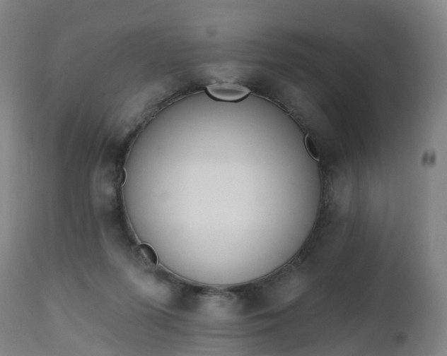 X0000112500215200908241357