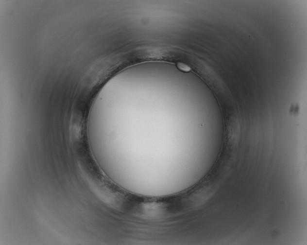 X0000112500216200908241357