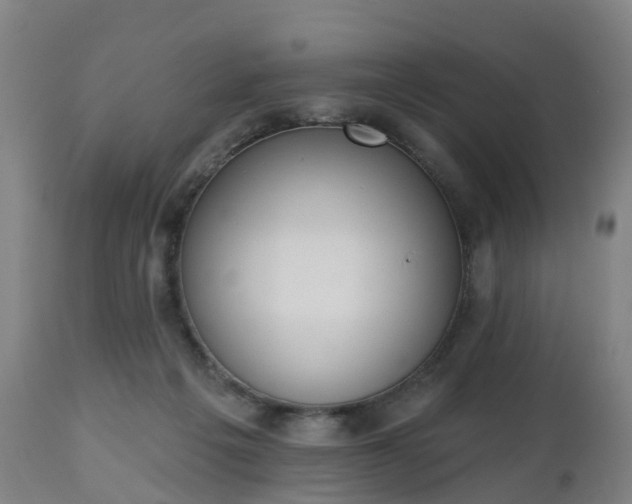 X0000112500217200908241357