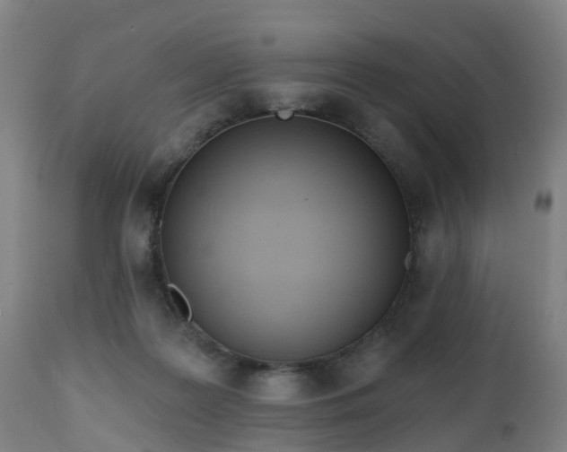 X0000112500219200908241357