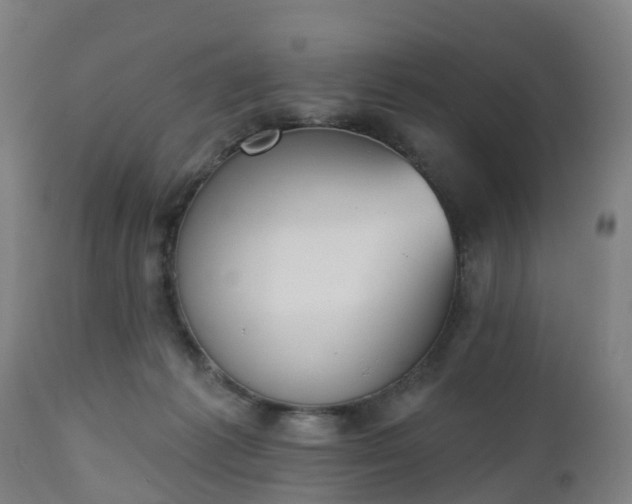 X0000112500221200908241357