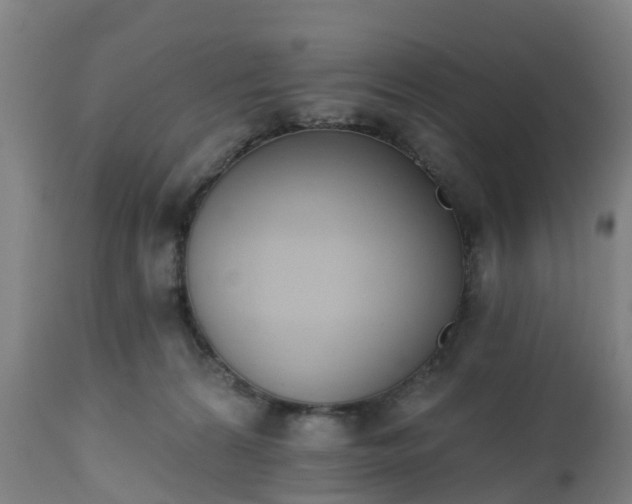 X0000112500224200908241357