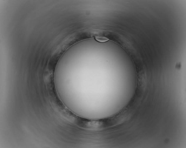 X0000112500225200908241357