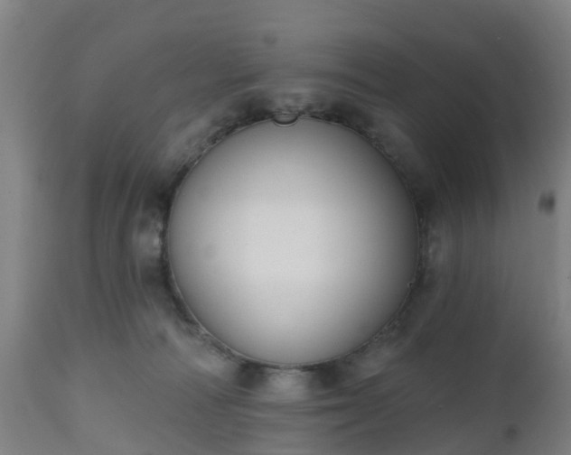 X0000112500226200908241357