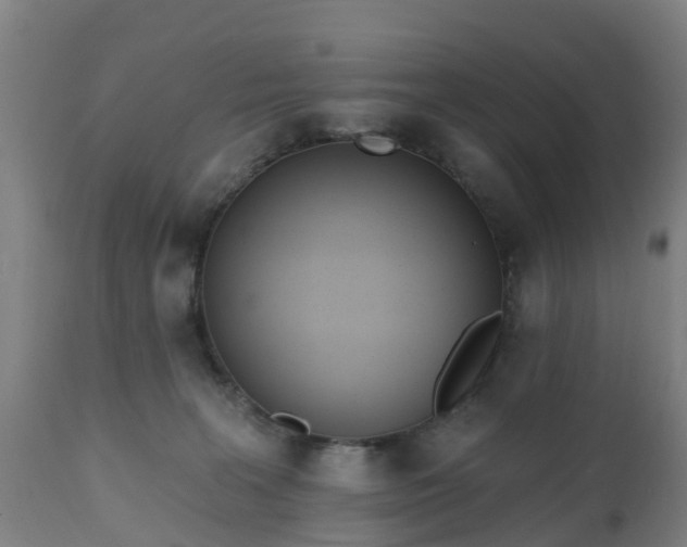 X0000112500227200908241357