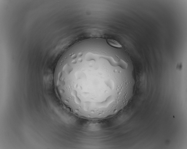 X0000112500228200908241357