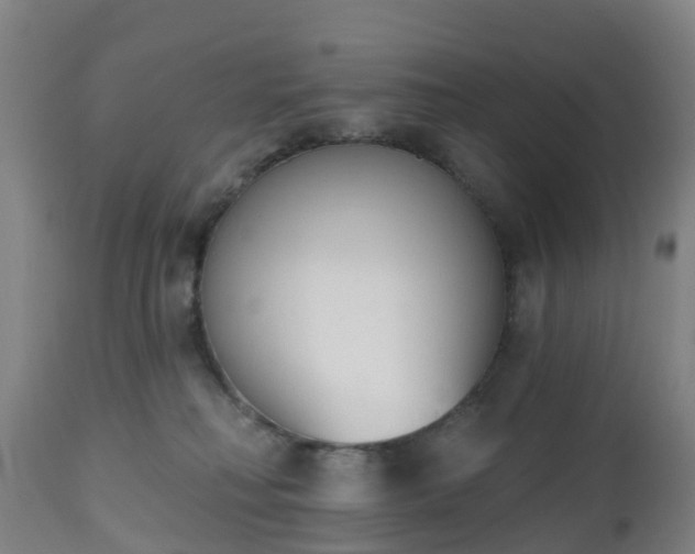 X0000112500230200908241357