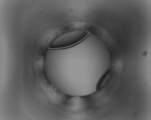 X0000112500231200908241357