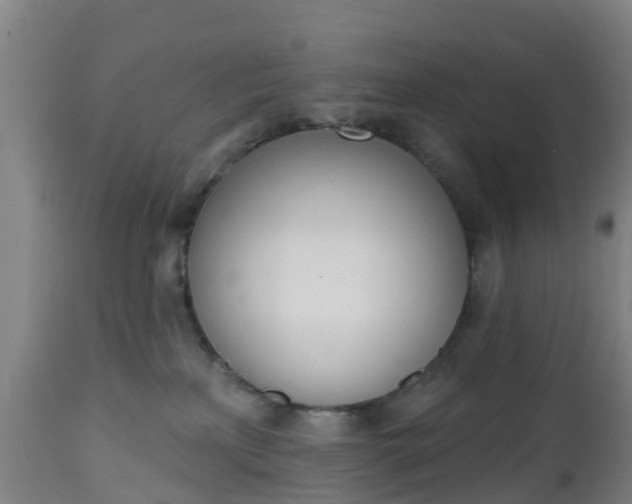 X0000112500233200908241357