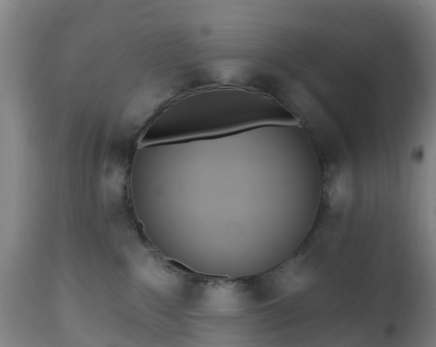 X0000112500235200908241357