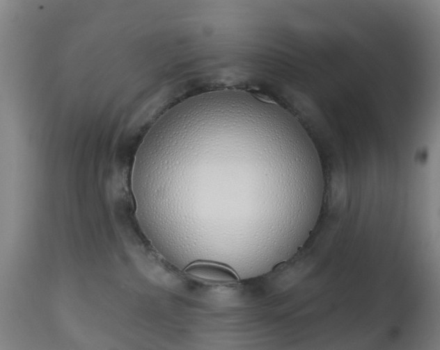 X0000112500236200908241357