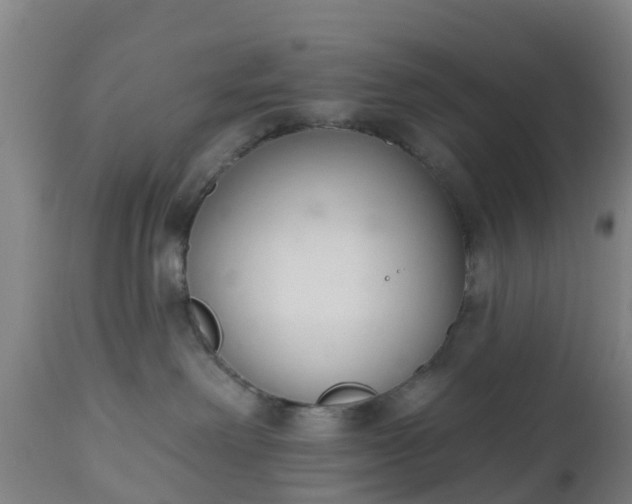 X0000112500238200908241357