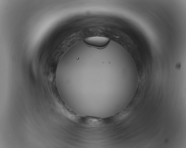 X0000112500239200908241357