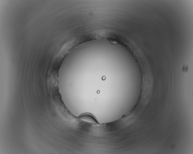 X0000112500240200908241357