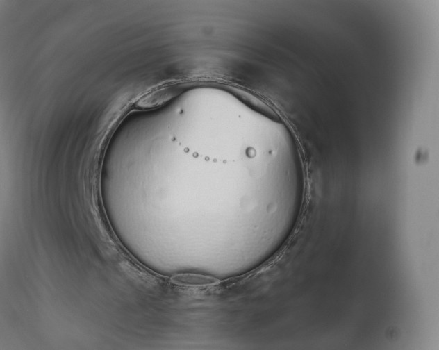 X0000112500241200908241356