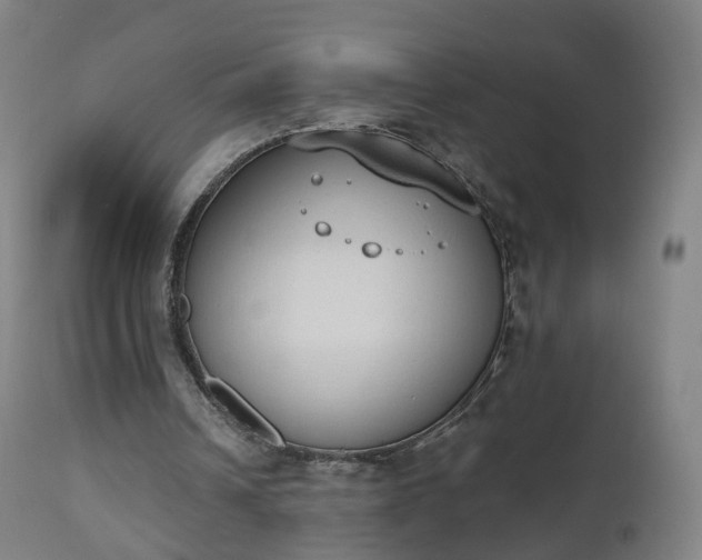 X0000112500242200908241356