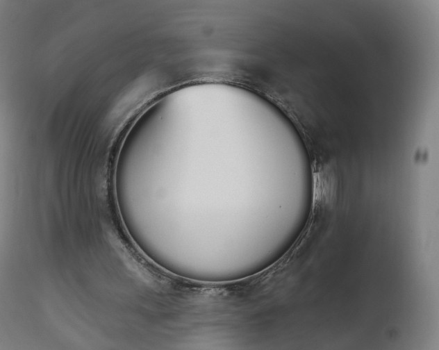 X0000112500243200908241356