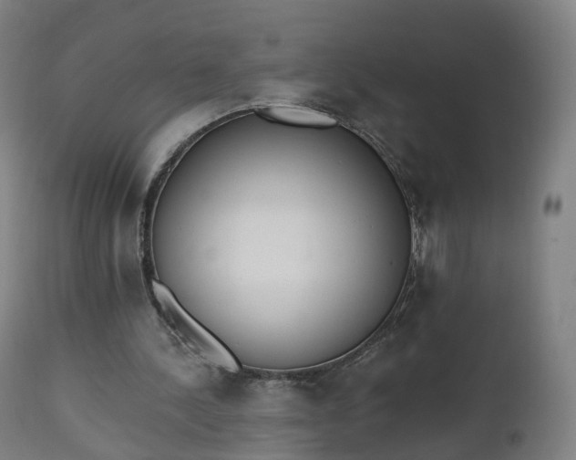 X0000112500244200908241356