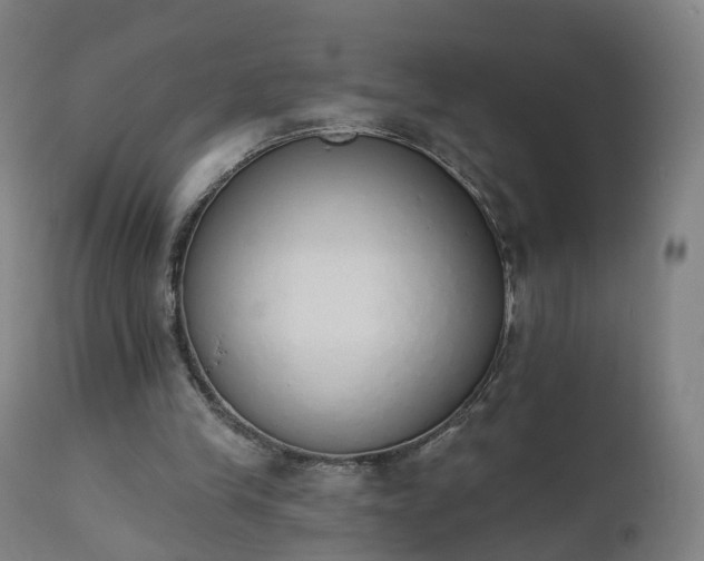 X0000112500245200908241356