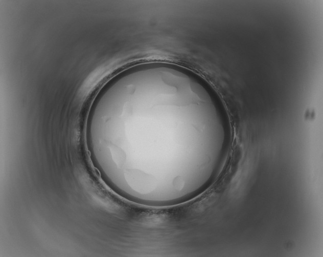 X0000112500247200908241356