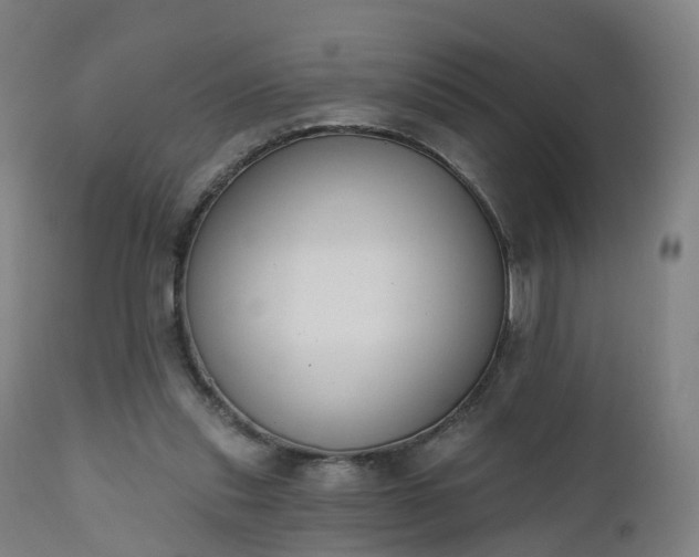 X0000112500253200908241356