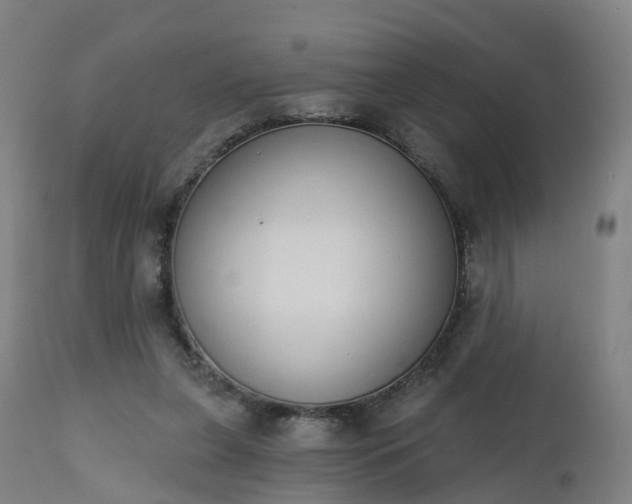 X0000112500255200908241356