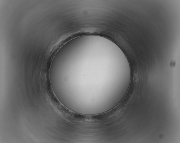 X0000112500256200908241356