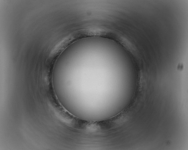 X0000112500258200908241356