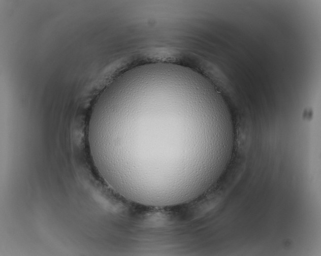 X0000112500259200908241356