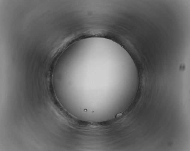 X0000112500260200908241356