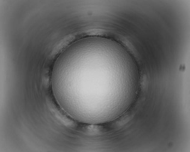 X0000112500261200908241356