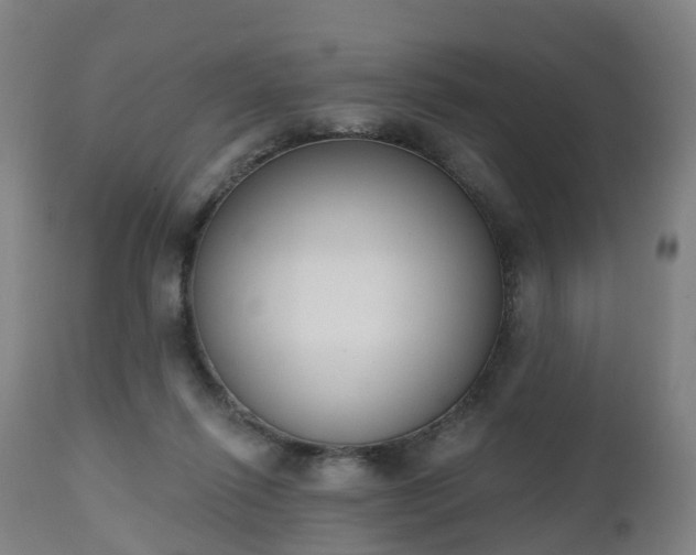 X0000112500262200908241356