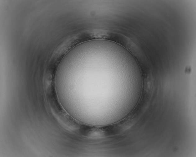 X0000112500263200908241356