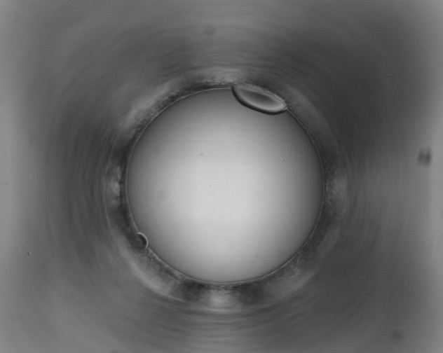 X0000112500264200908241356