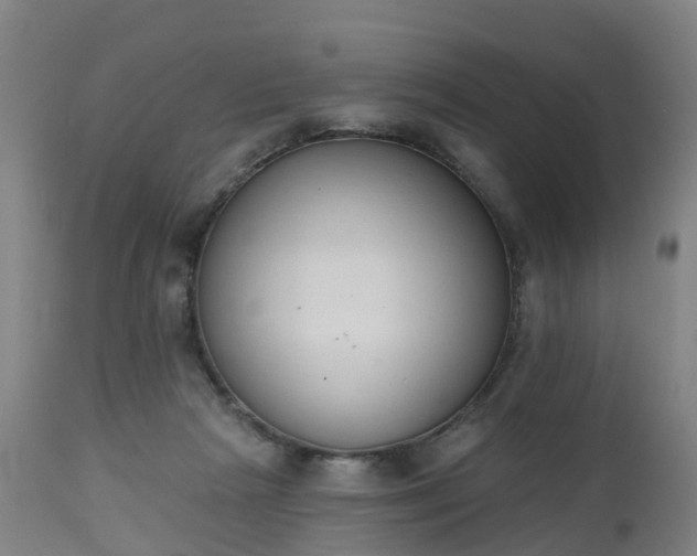 X0000112500265200908241356