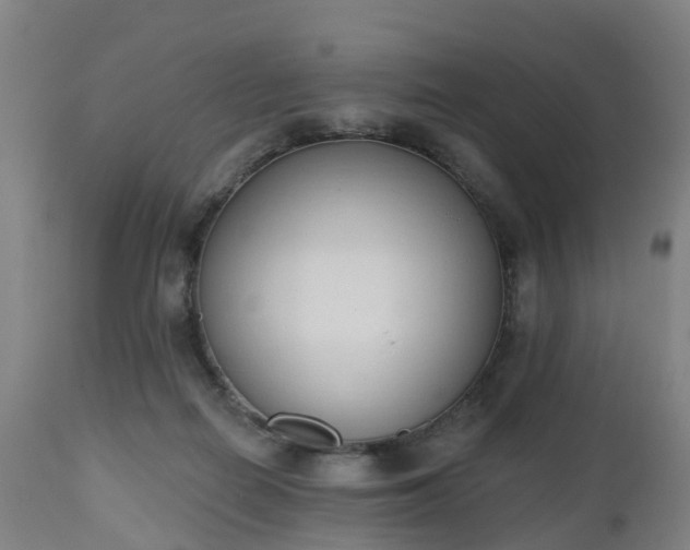 X0000112500266200908241356