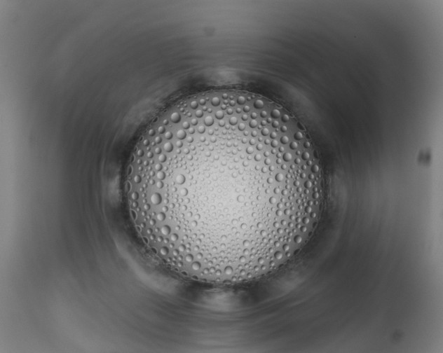 X0000112500267200908241356