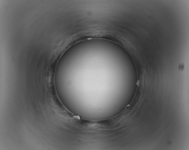 X0000112500268200908241356