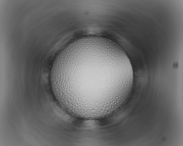 X0000112500269200908241356