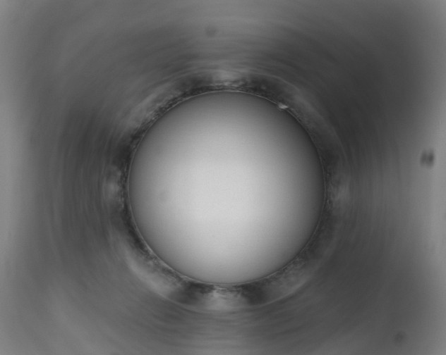 X0000112500270200908241356