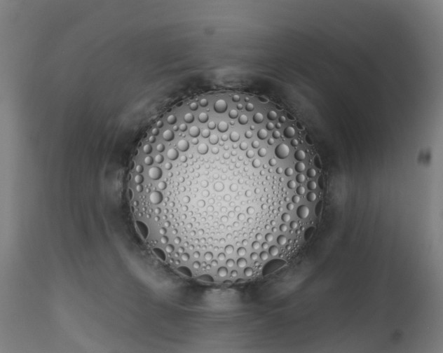 X0000112500271200908241356