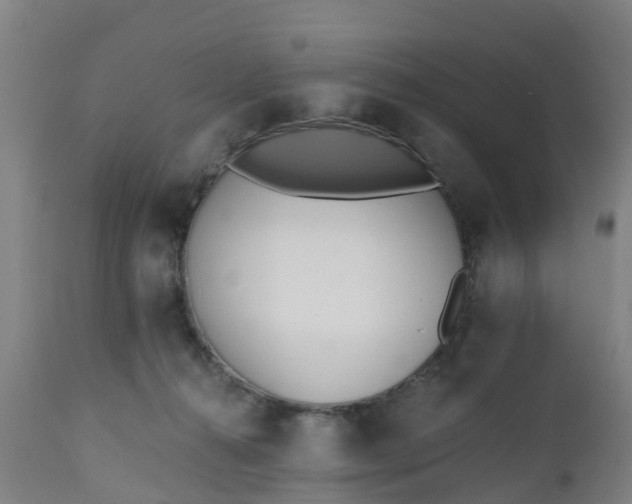 X0000112500272200908241356