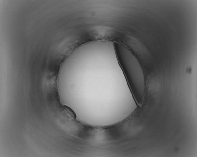 X0000112500276200908241356